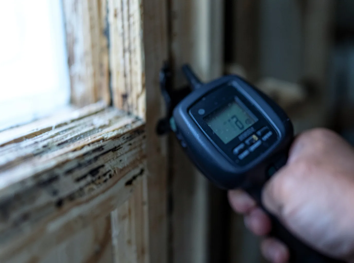 Moisture Inspection And Documentation in Munson, PA